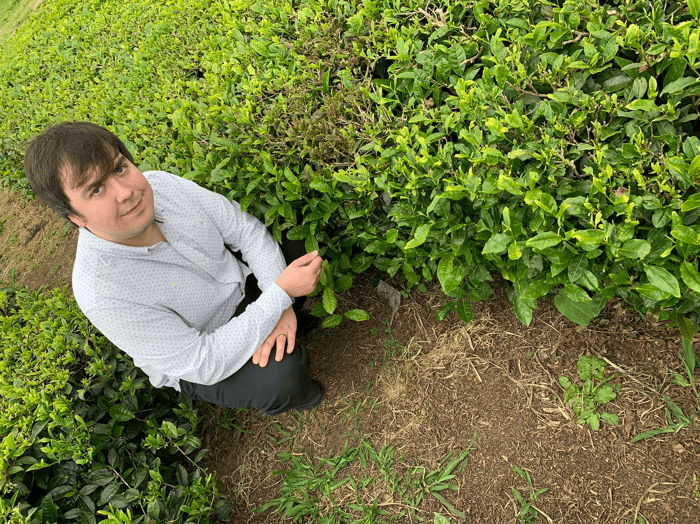 Philip Paton, founder of Timber Smoke Tea Co.